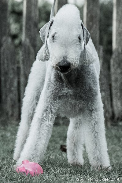 2014-03-14 Svet-8073-2.jpg